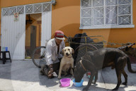 Members Of The Lomitos Club Collective In Mexico City Offer Help This Holy Thursday To Don José's Pack Of Dogs