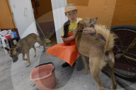 Members Of The Lomitos Club Collective In Mexico City Offer Help This Holy Thursday To Don José's Pack Of Dogs