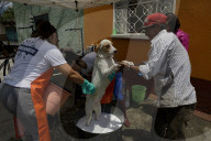 Members Of The Lomitos Club Collective In Mexico City Offer Help This Holy Thursday To Don José's Pack Of Dogs