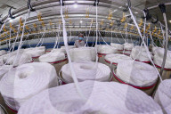 Chemical Fiber Textile Manufacturing in Qingzhou