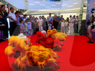 Robot Lion Dance