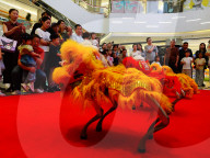 Robot Lion Dance