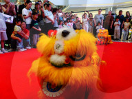 Robot Lion Dance