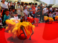 Robot Lion Dance