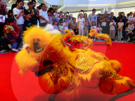 Robot Lion Dance