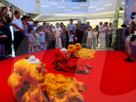 Robot Lion Dance