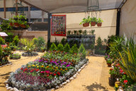 The 92nd Spring Flower Exhibition Opens In Cairo 