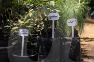 The 92nd Spring Flower Exhibition Opens In Cairo 