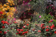 The 92nd Spring Flower Exhibition Opens In Cairo 