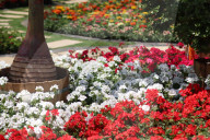 The 92nd Spring Flower Exhibition Opens In Cairo 
