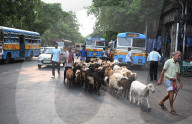 Daily Life In Kolkata