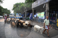 Daily Life In Kolkata