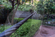 Faito Cable Car Tragedy 