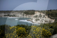 Wildlife Rehabilitation Centre in Malta