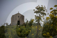 Springtime scenes along the Dingli Cliffs, Maltaís highest point