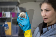 Wildlife Rehabilitation Centre in Malta