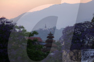 Spring Bloom- Sunset And Swoyambhunath Stupa In Nepal