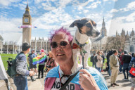 Trans Protest London