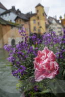 Annecy, Venice of the Alps