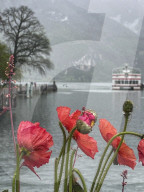 Annecy, Venice of the Alps
