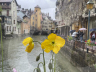 Annecy, Venice of the Alps