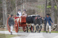 First battles of the American Revolution reenactment