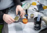 The annual 420 gathering in Hyde Park, London, Great Britain 
20th April 2025