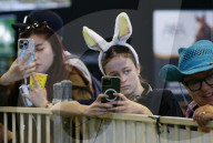 Run, rabbit, run - and then hop! Sydney's Royal Easter Show welcomes showjumping as you've never seen it.