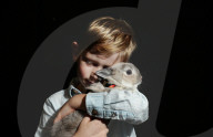 Run, rabbit, run - and then hop! Sydney's Royal Easter Show welcomes showjumping as you've never seen it.