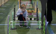 Run, rabbit, run - and then hop! Sydney's Royal Easter Show welcomes showjumping as you've never seen it.