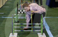 Run, rabbit, run - and then hop! Sydney's Royal Easter Show welcomes showjumping as you've never seen it.