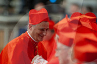 Pope inducts three new Cardinals