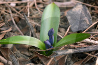 Spring Season In Toronto