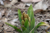 Spring Season In Toronto