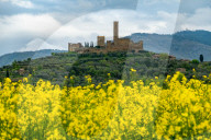 Views Of Montecchio, Italy