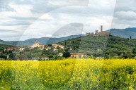 Views Of Montecchio, Italy