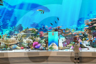Living Reef Immerses Visitors At Edmonton Downtown Library