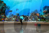 Living Reef Immerses Visitors At Edmonton Downtown Library