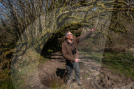 Like the Ritz for wildlife: Rob Wolton, the joy of recreating Britain's ancient hedges