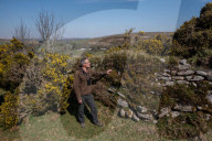 Like the Ritz for wildlife: Rob Wolton, the joy of recreating Britain's ancient hedges