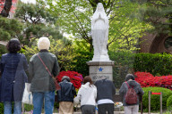 Catholics Gather At Myeongdong Cathedral To Mourn Pope Francis