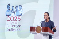 Mexico’s President, Claudia Sheinbaum Holds Briefing