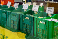 Asparagus Stand