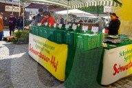 Asparagus Stand