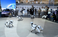 Chery Booth at 2025 Auto Show in Shanghai