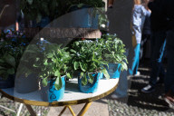 The Fair Spring Market Flora Et Decora Dedicated To Flowers And Decorative Plants In Milan