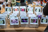The Fair Spring Market Flora Et Decora Dedicated To Flowers And Decorative Plants In Milan
