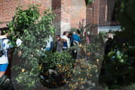 The Fair Spring Market Flora Et Decora Dedicated To Flowers And Decorative Plants In Milan