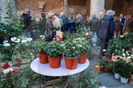 The Fair Spring Market Flora Et Decora Dedicated To Flowers And Decorative Plants In Milan