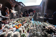 The Fair Spring Market Flora Et Decora Dedicated To Flowers And Decorative Plants In Milan